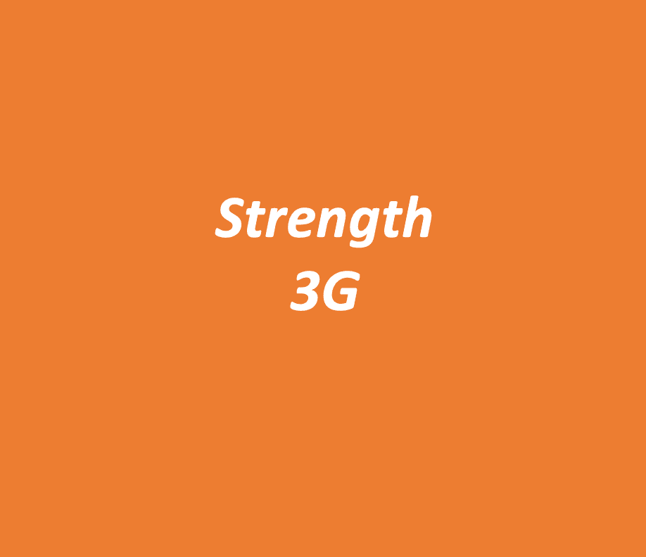 saturday 11 29 19 3g strength