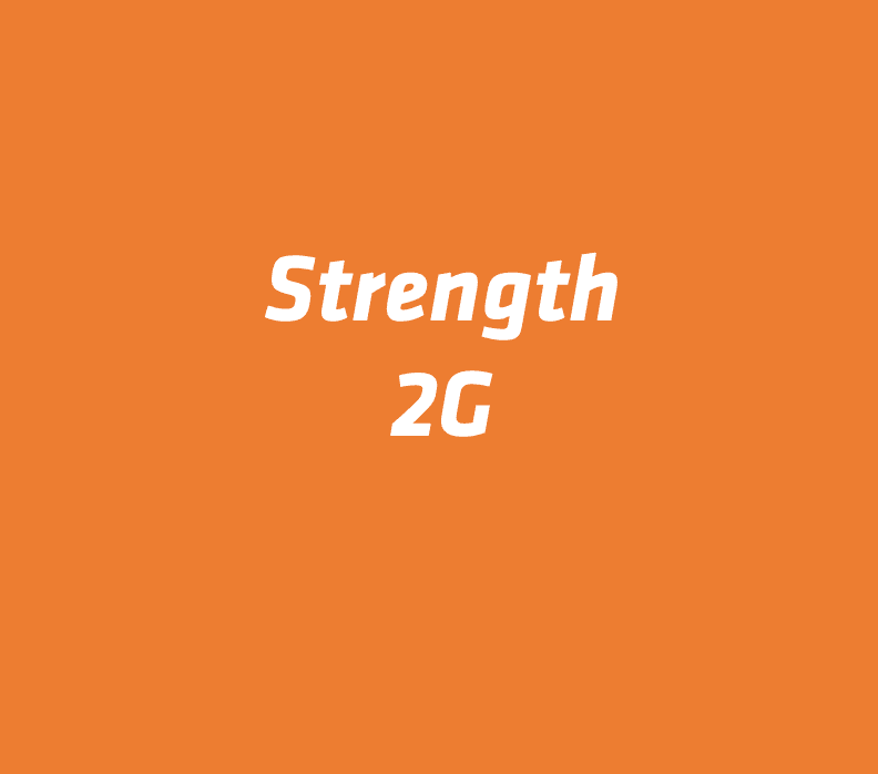 saturday 11 29 19 2g strength